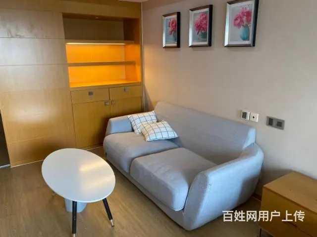 新城国际公寓 北郊国际中学附近 一室一厅一卫 - 图片 9