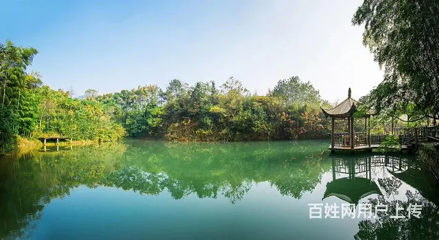 苏州买卖锦鲤鱼金鱼批发 - 图片 1