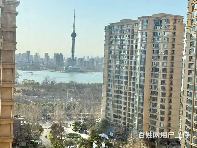 龙源湖公园 观景房 建业森林半岛 16楼 一梯一户 - 图片 1
