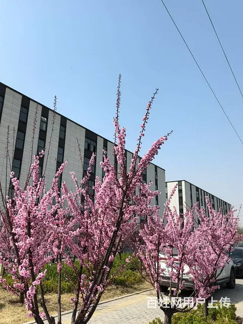 全款106万买400平临街大产权厂房 - 图片 6