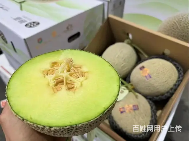 水果批发市场配送全成都酒店 食堂 单位新鲜水果上门 - 图片 8