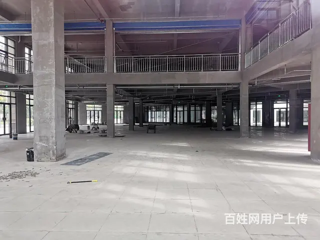 99广场旁城南整栋商业，凯迪塞纳河畔两千多平赠送多市口好 - 图片 4