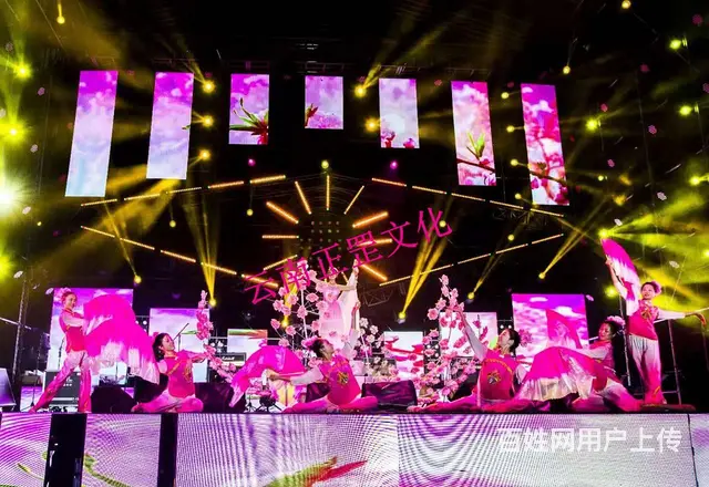 舞台灯光音响、LED屏、桌椅、桁架、篷房、彩烟租赁 - 图片 11