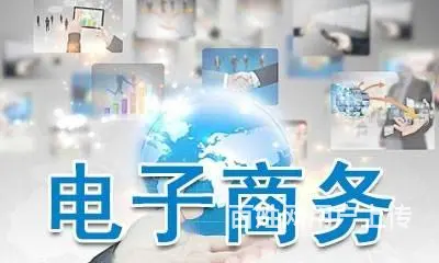 苏州园区电子商务等级证书 - 图片