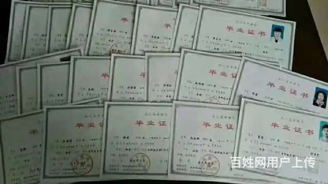 2023年黑龙江成人高考本科专科二学历招生 - 图片