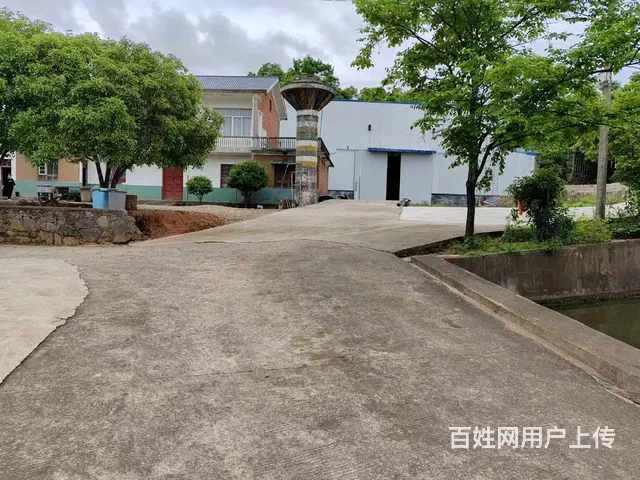（个人发布） 长沙县江背镇700平方厂房仓库 - 图片 5