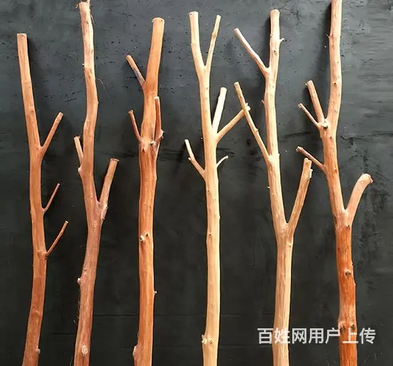 仿真客厅树枝装饰品 线条型仿真枝卧室书房绿植摆件手 - 图片 2