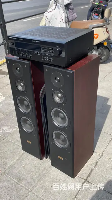 丹麦原装进口至尊发烧音箱，双6.5寸低音音质非常好 - 图片 2