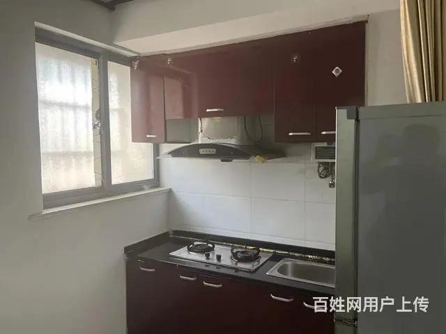 出售(已租）单身公寓 - 图片 1