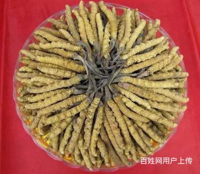 长垣回收烟酒礼品当地价格参考/长垣回收茅台酒上门 - 图片 1