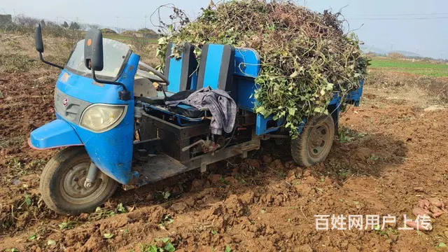 出售五征小金虎高低速柴油三轮车 - 图片 2