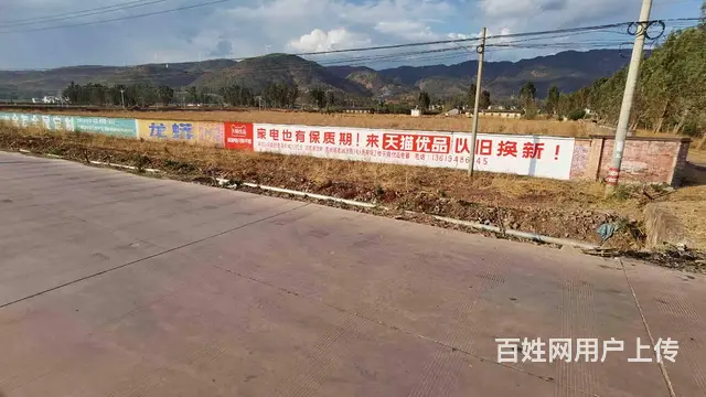 连云港药品乡镇民墙广告,学校招生刷农村广告,桥面彩 - 图片 2