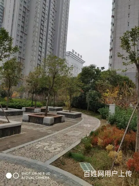 偃师新寨社区93平2居低价出售 - 图片 1