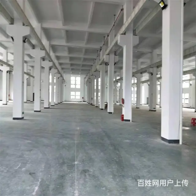吴江开发区厂房12000平米出租 - 图片 3