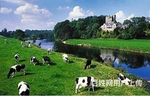 正规急聘出国劳务澳洲农牧场工人（45w） - 图片