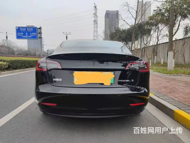 特斯拉Model 3 2020款 标准续航后驱升级版 - 图片 4