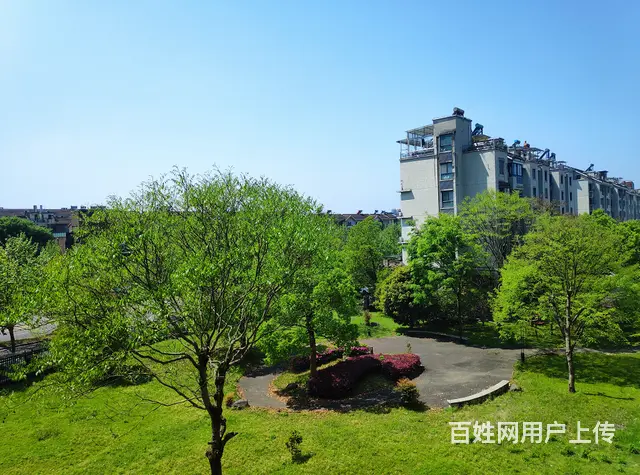 江南新城多层4楼三室两厅两卫房屋出售 - 图片 12