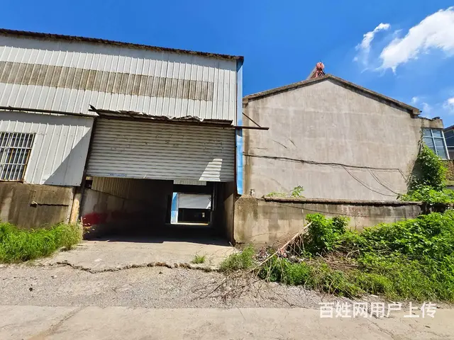 （城市在线 找房免费）大黄山红绿灯东标准厂房出租（工业用地） - 图片 5