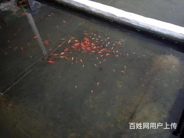 电话联系 - 图片 4