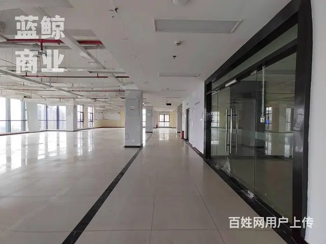 金龙湖旁500到1000平整层可分割欢迎看房 - 图片 5