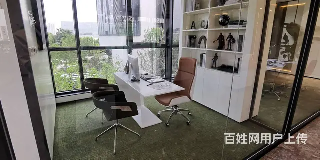 大蜀山旁 长江西路地铁口 四层独栋总部 办公楼宇  高赠送 - 图片 10
