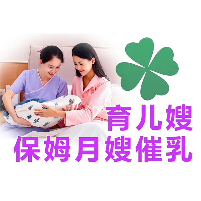 沈阳家政服务家政公司地址本地家政服务网 - 图片 1