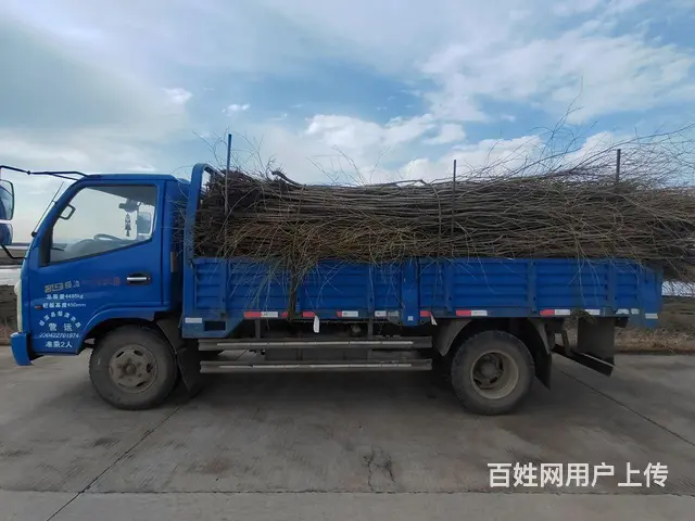 凯马 骏腾 自卸车 国4 - 图片 2