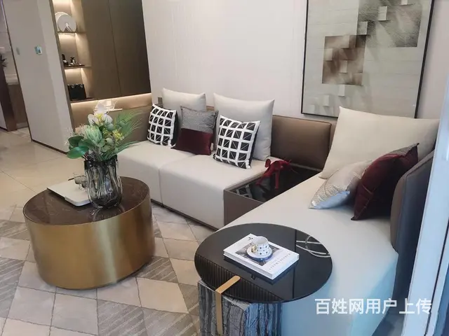 首付两万可潘安湖解忧湖汇景君悦府送装修找我有优惠 - 图片 8