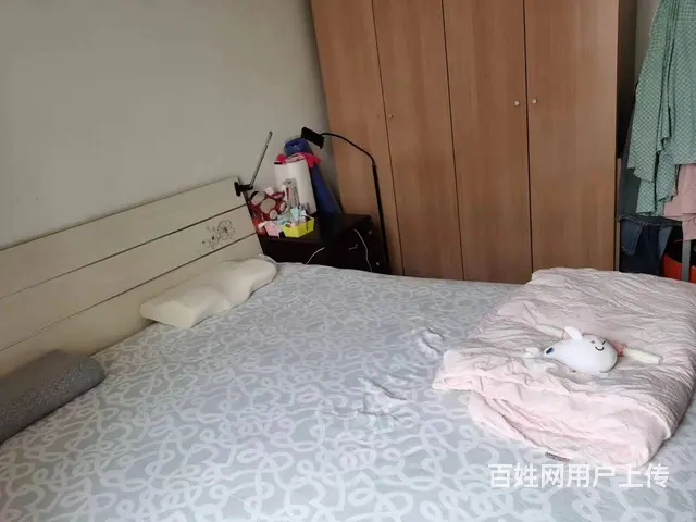 大华水岸福邸套间出租 - 图片 3