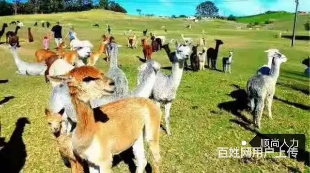 常州出国打工年薪30万到40万，进来看看。 - 图片 1
