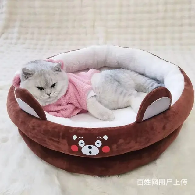 徐州宠物窝哪家好 - 图片 1