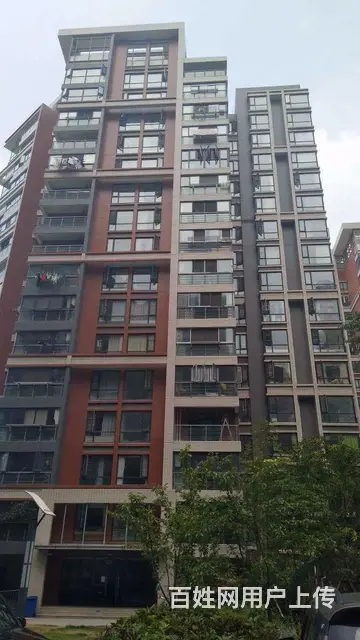 蓝晶绿洲 小三房 山河大厦曲水兰亭 8号线岳家嘴 - 图片 9