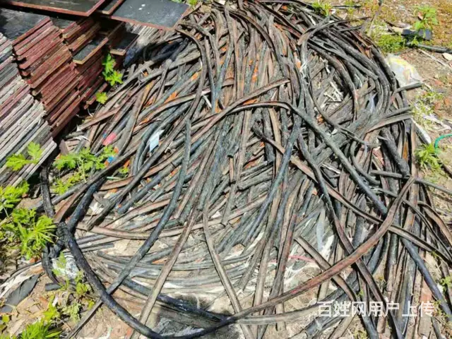 东洲沈阳木托盘边角料回收回收电话是多少 - 图片 3