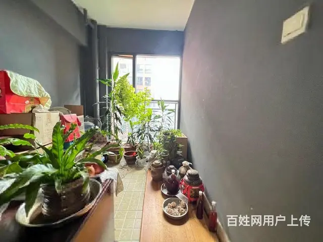 ！ 城市理想2期 南向  刚需二房 双阳台 证在手 - 图片 4