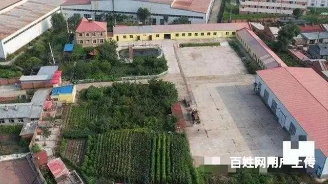 阿城舍利街厂房别墅出售 - 图片 2