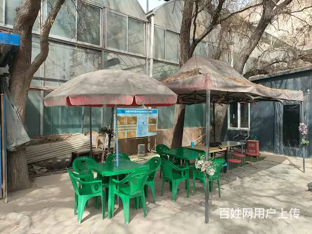 9030（铺联邦）城关区大沙坪好位置食堂诚转 - 图片 5
