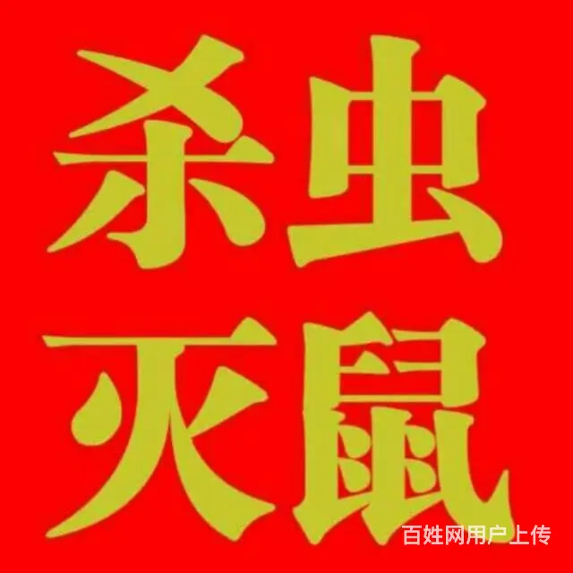 邵阳灭鼠，灭白蚁，灭蟑螂，灭老鼠杀虫 - 图片 12