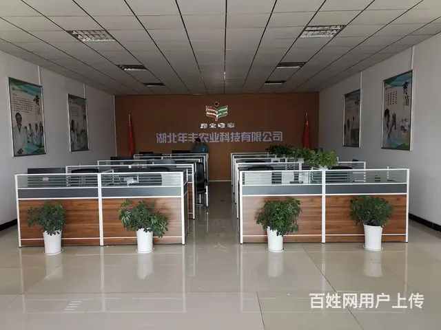 急需销售，包吃住，底薪3000元加提成 - 图片 9