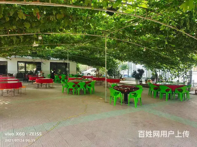 昌黎葡萄沟农家院-专业接待大型团体-公司团建 - 图片 4