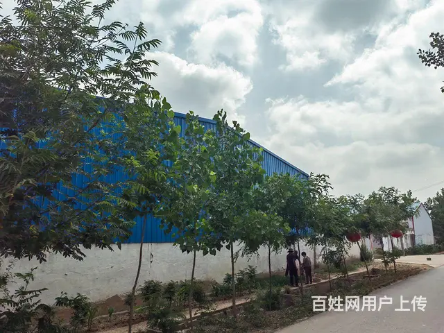 临沭县青云镇厂房出租 - 图片 5