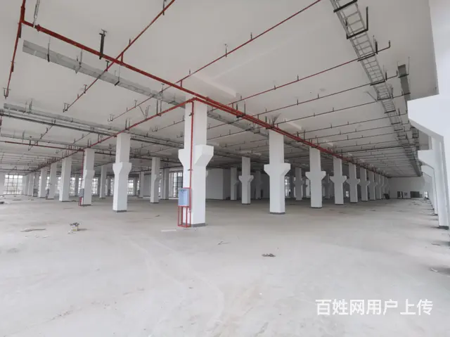 成都市成华区龙潭功能区三环路国有资产，高标准厂房出租 - 图片 1
