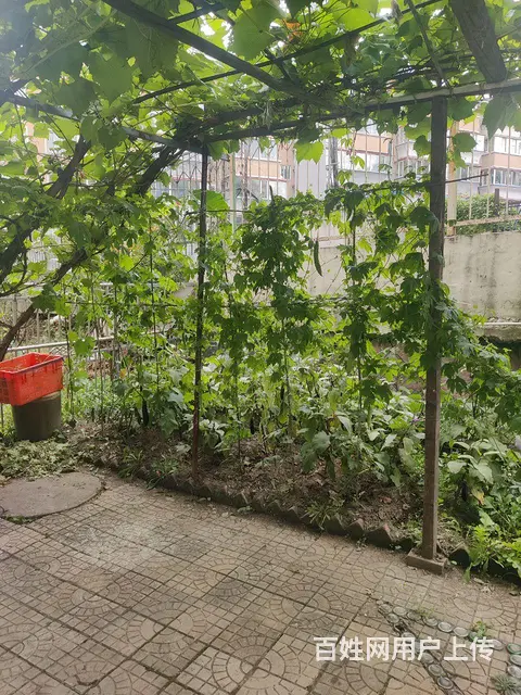 商住两用 - 图片 4