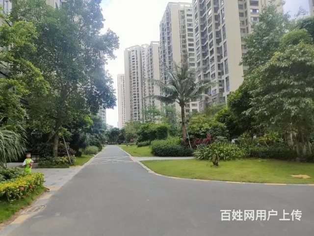 滨海大道商圈   绿地海德公馆3房 - 图片 12