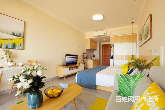 鼎龙湾一线海景房，首付13万起 - 图片 4