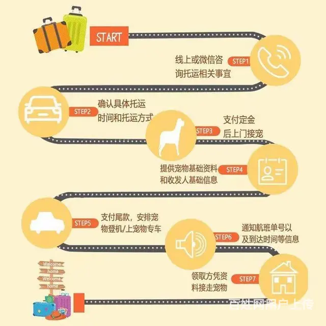丽水庆元宠物托运 （猫狗活体运输）宠物快递至全国 - 图片 1