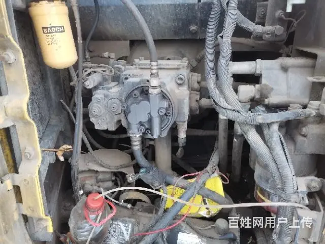 视频中 小油门 - 图片 6