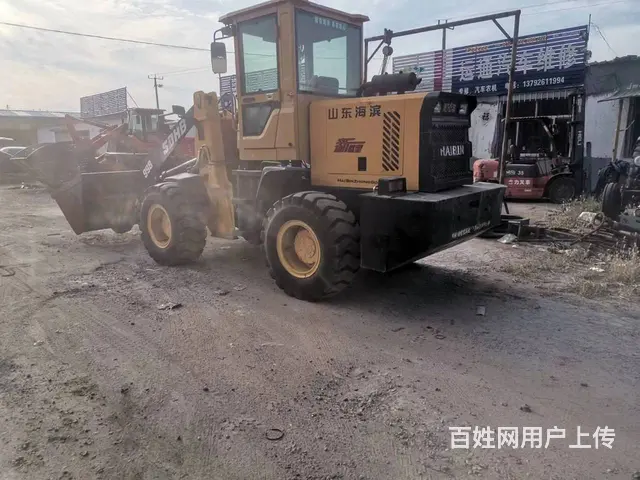 2020年大装粮斗潍柴4102发动机带增压器 - 图片 4