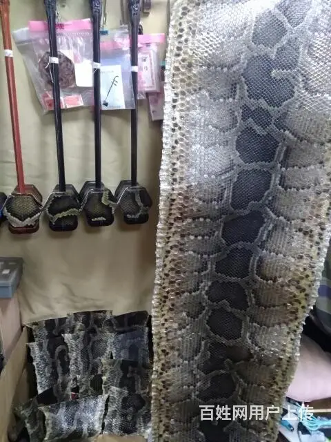 二胡越胡三弦琵琶阮柳琴月琴等修理换皮蒙皮翻新配件等 - 图片 6
