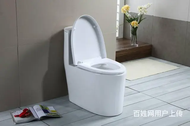 徐州马桶漏水维修_修理马桶漏水-技术好收费低 - 图片 5
