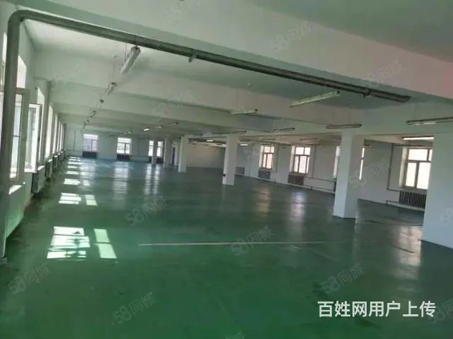 香坊区朝阳镇前进村厂房出租 - 图片 5
